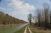 Canal de la Marne de Condé à Vraux